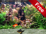 Fantastic Aquarium 3D Screensaver - Windows 10 Animated Screensavers