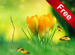 Spring Charm Screensaver - Windows 10 Nature Screensavers