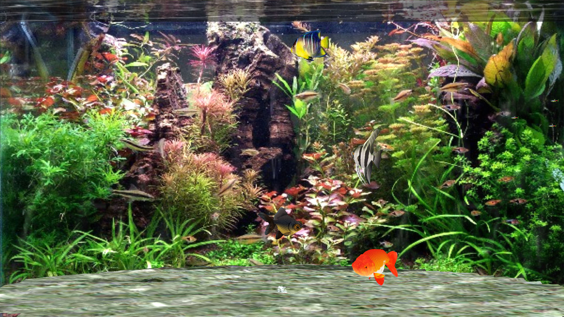 Aquarium Screensaver for Windows 10 - Fantastic Aquarium 3D Screensaver